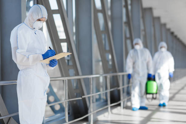  Zuni Pueblo, NM Mold Removal Pros