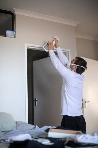 Best Water Damage & Mold Remediation  in Zuni Pueblo, NM