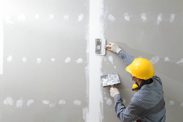 Best Dehumidification Services  in Zuni Pueblo, NM