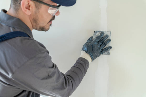 Professional Mold Removal in Zuni Pueblo, NM