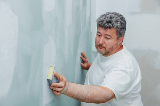 Best Attic Mold Removal  in Zuni Pueblo, NM