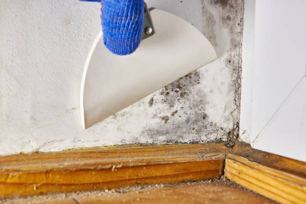Asbestos and Lead Testing During Mold Inspection in Zuni Pueblo, NM